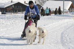 Lenk 2012 SM